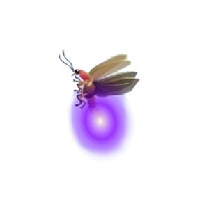 Purple Firefly